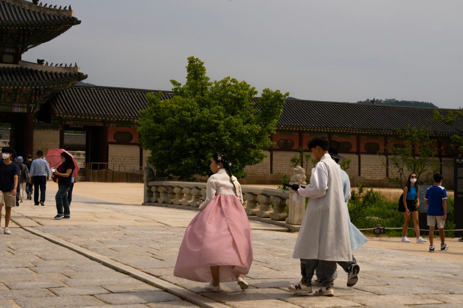 Beyond the Tourist Trail: Embracing Unique Korean Experiences